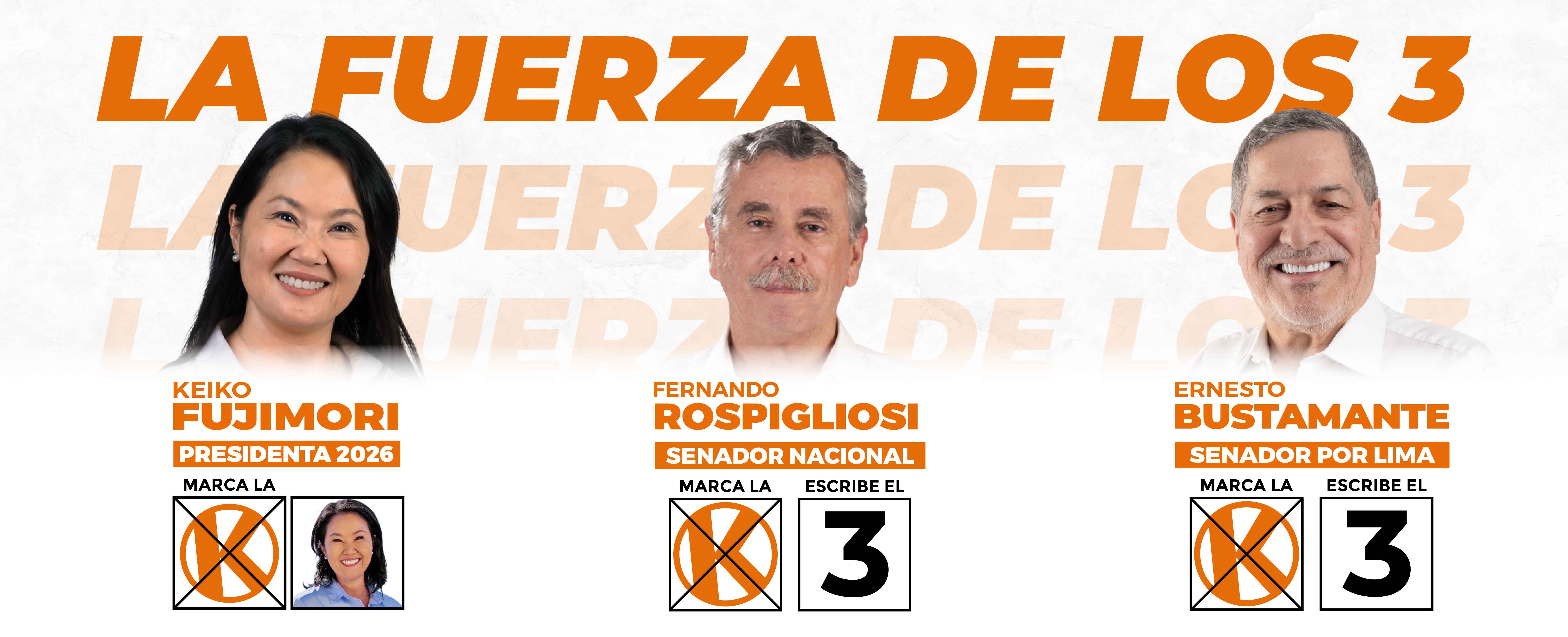 Fernando Rospigliosi Senador Nacional